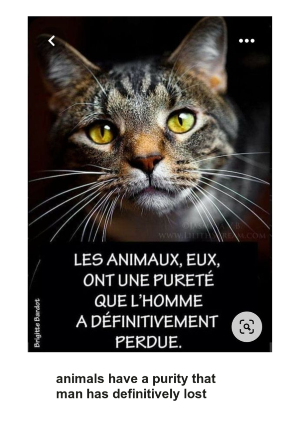 Mon image