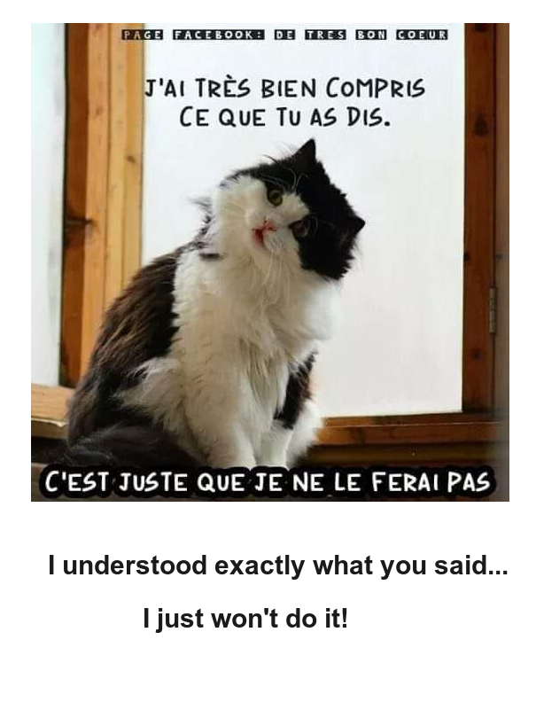 Mon image