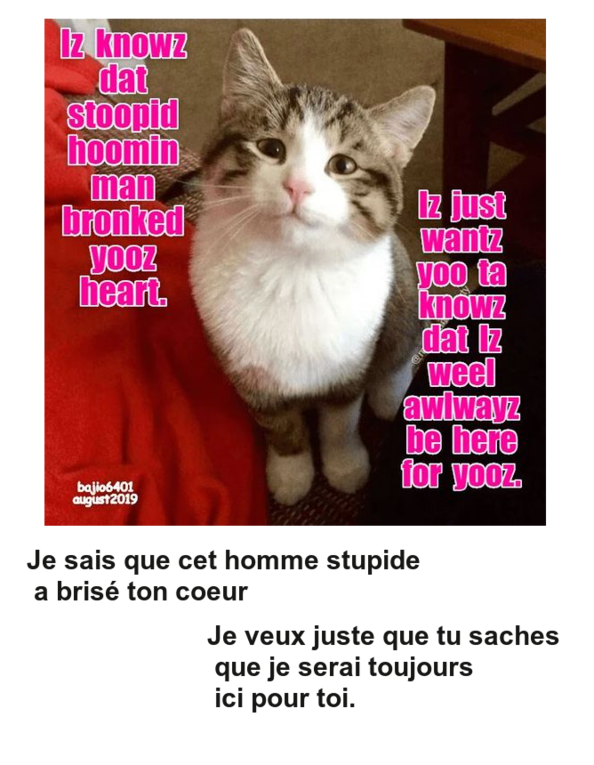 Mon image