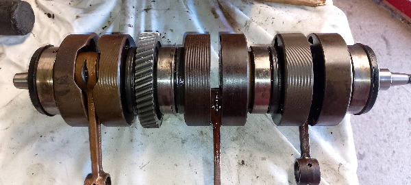 IMG_20251006_165238-redimensionne-taille-moyenne.