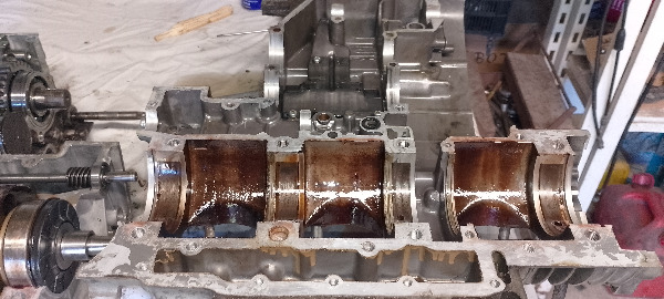 IMG_20251006_155319-redimensionne-taille-moyenne.