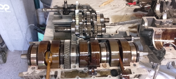 IMG_20251006_155313-redimensionne-taille-moyenne.