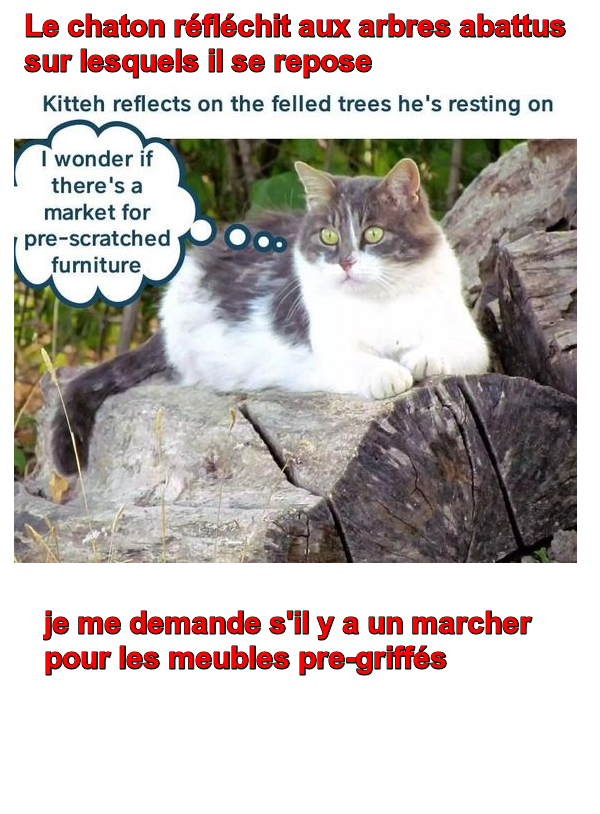 Mon image