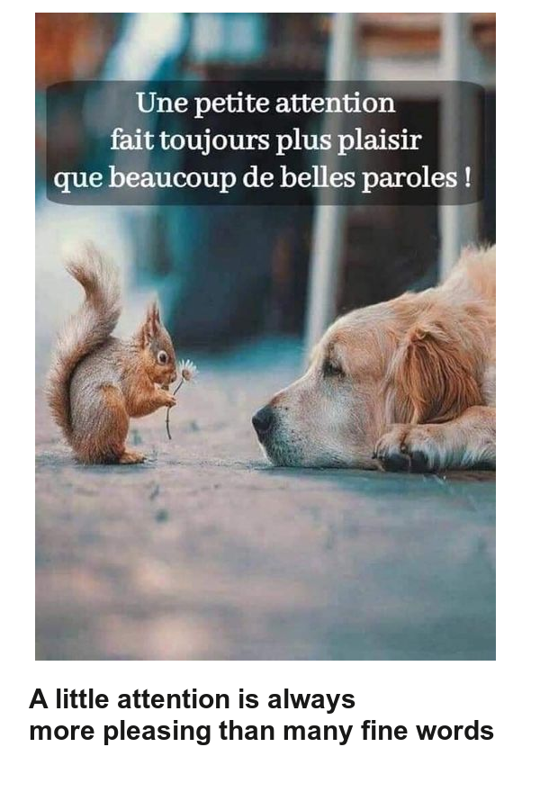 Mon image