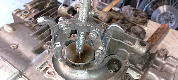 IMG_20251014_143140-redimensionne-taille-moyenne.