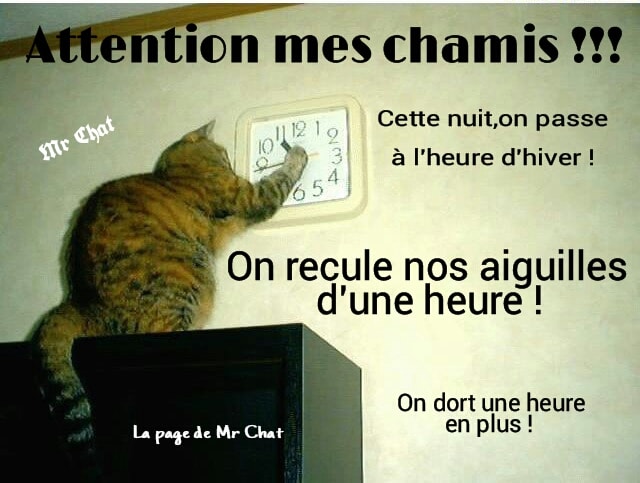 571623809_1251736543656036_3885528514083348173_n