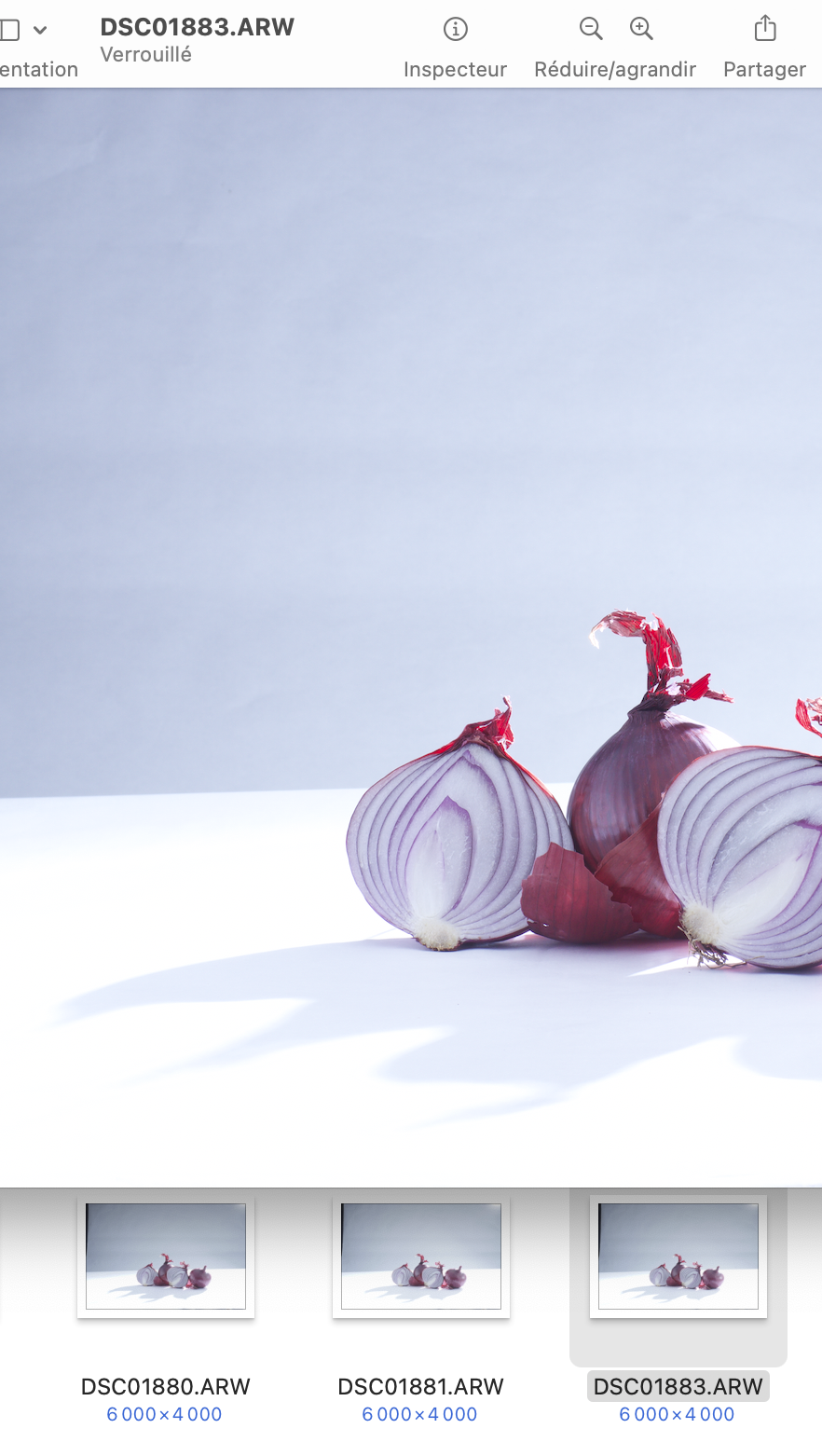 Capture d?&eacute;cran 2025-11-08 &agrave; 11.52.40