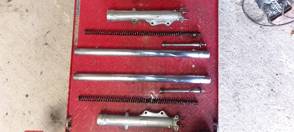 IMG_20251124_144231-redimensionne-taille-moyenne.