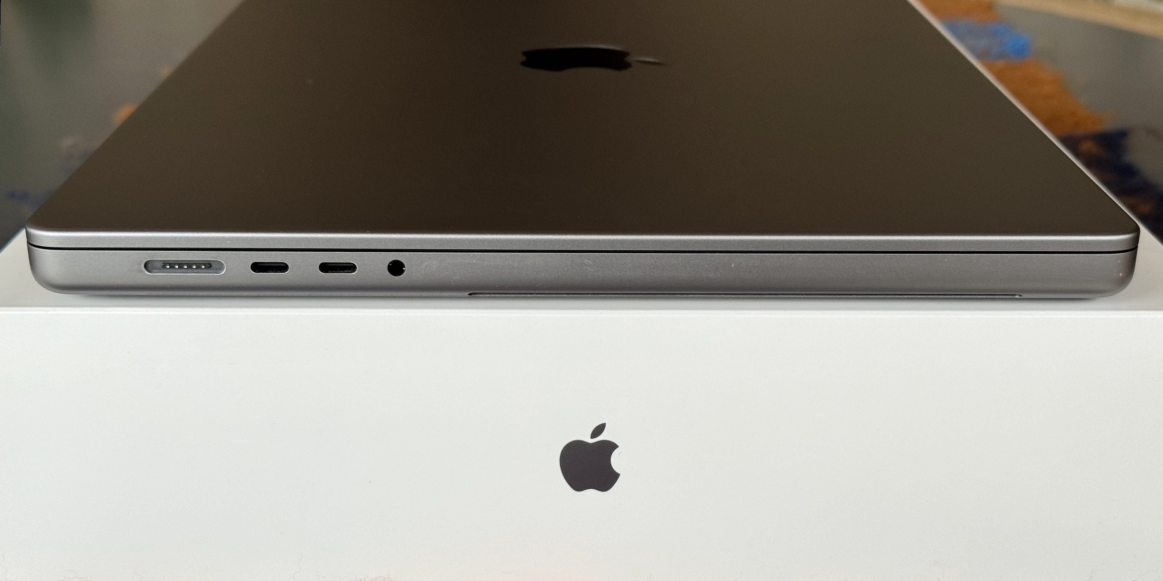 Vue cot&eacute; gauche.