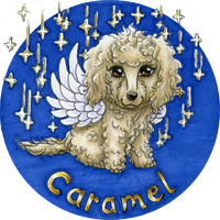 12-2025 commande CarSaphir