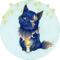 12-2025 commande Chaton