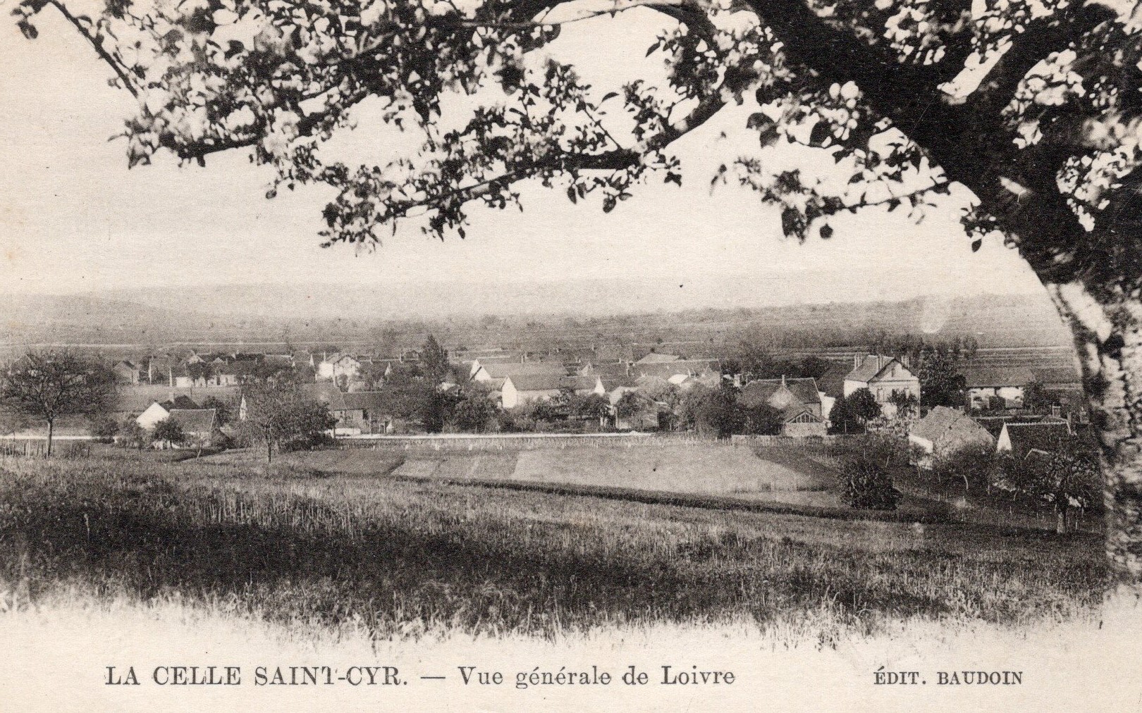 cartes postales anciennes - 39-56 loivre vue generale