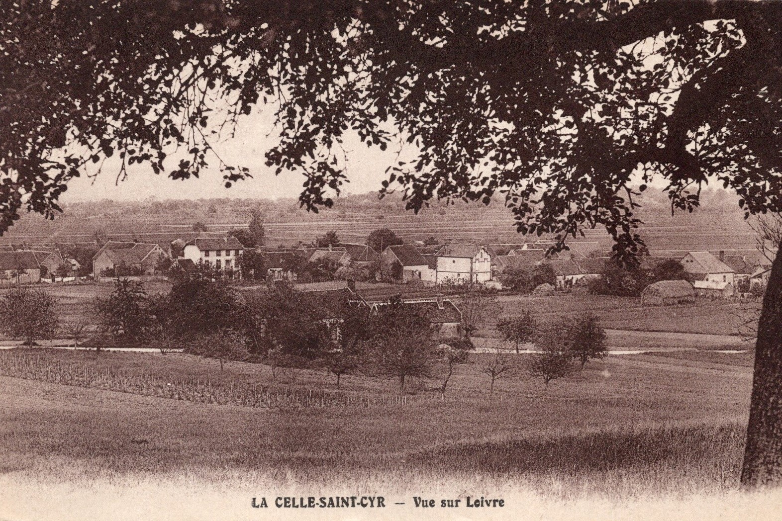 cartes postales anciennes - 40-54 loivre vue generale 3