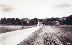 cartes postales anciennes - 33-46 vue generale prise de pinelle
