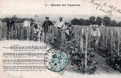 cartes postales anciennes - 62-001 A misere des vigneron 1 1905