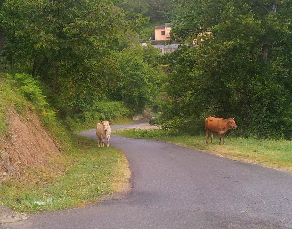 [Image: 26020706364817270218719736.jpg]