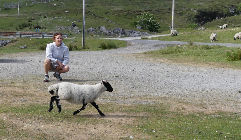 [Image: 26020706364917270218719737.jpg]