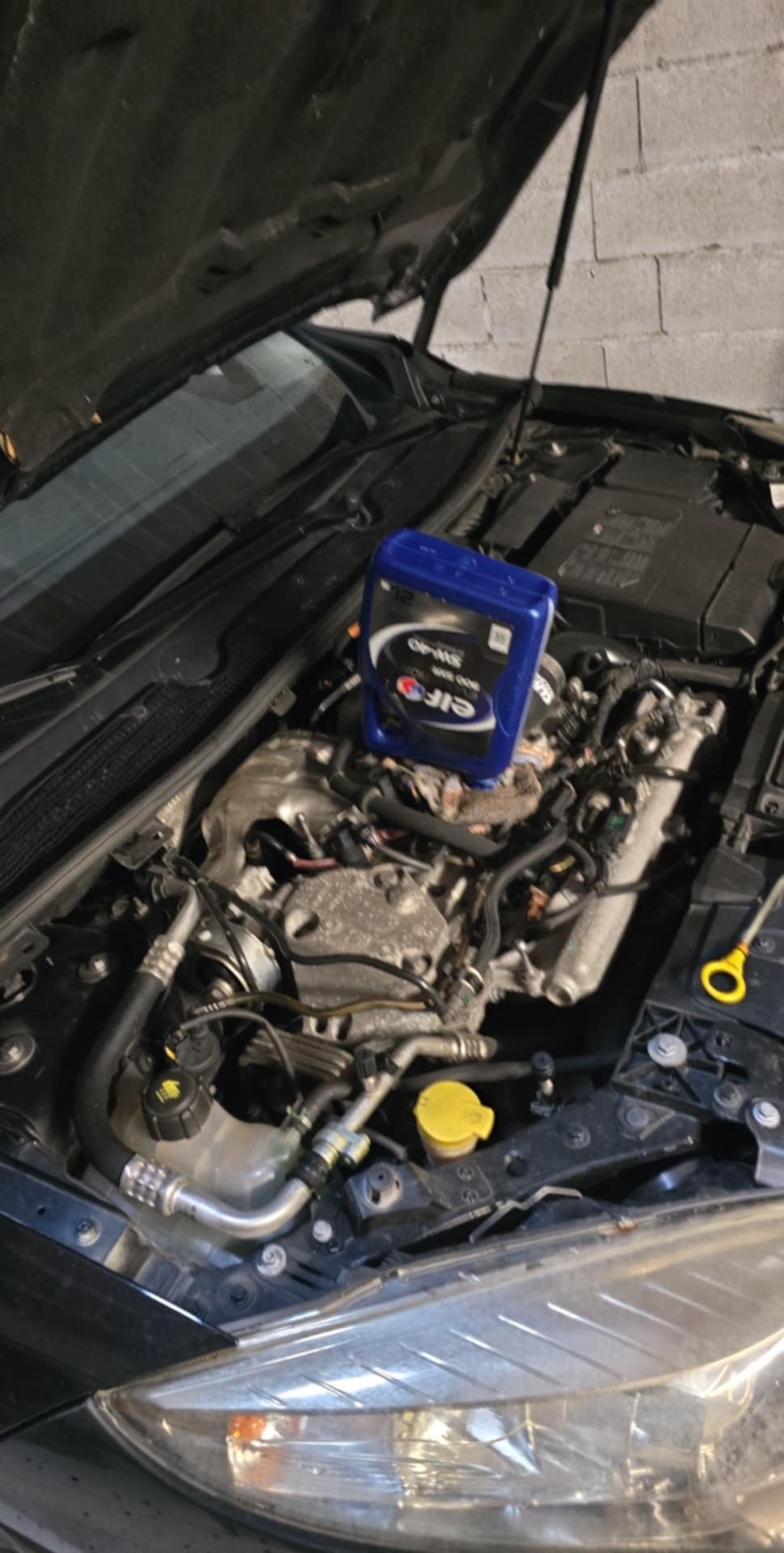 1402d8fe-beaa-4470-aa0d-aea9c50f54bf.