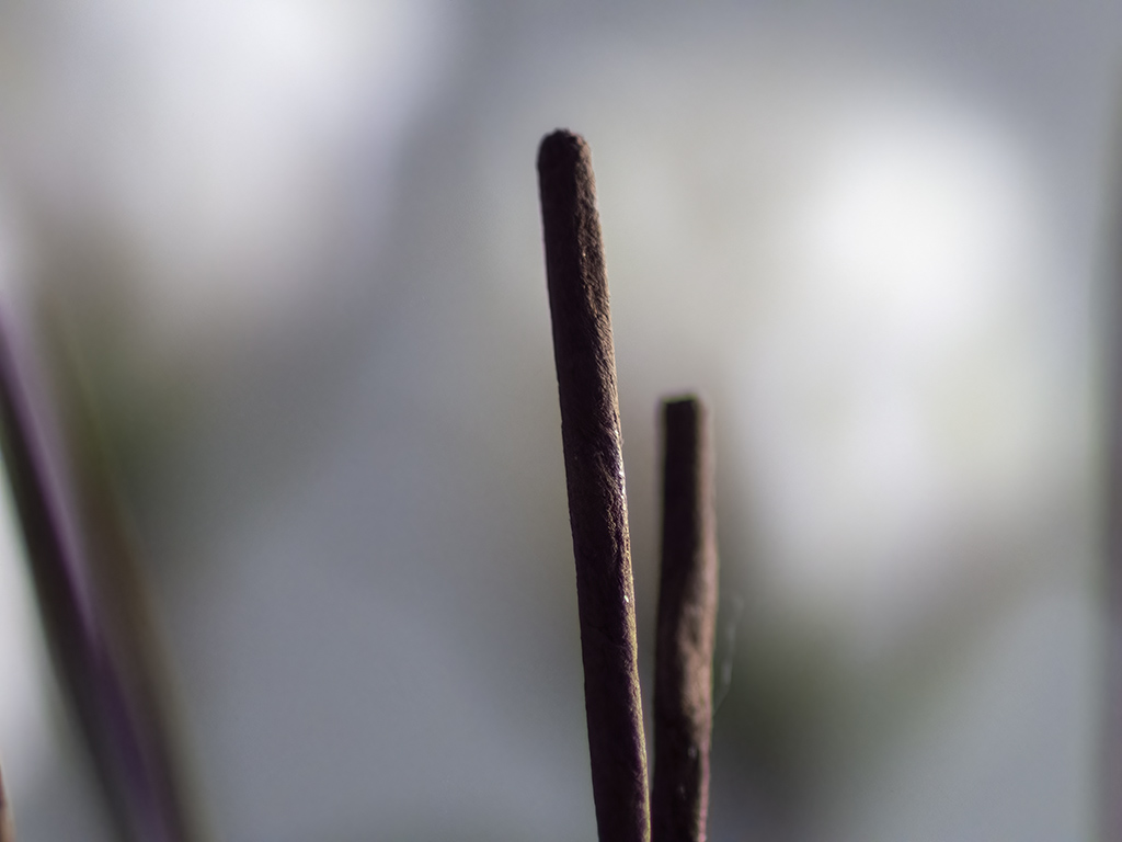 _IGP0271-Q-85mmF1.2