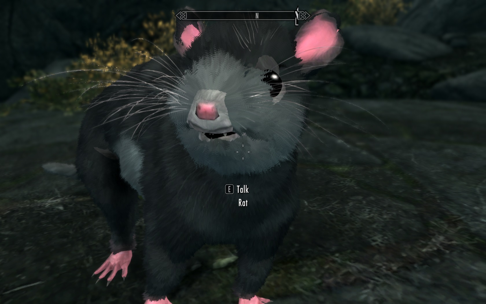 RatGreyLight