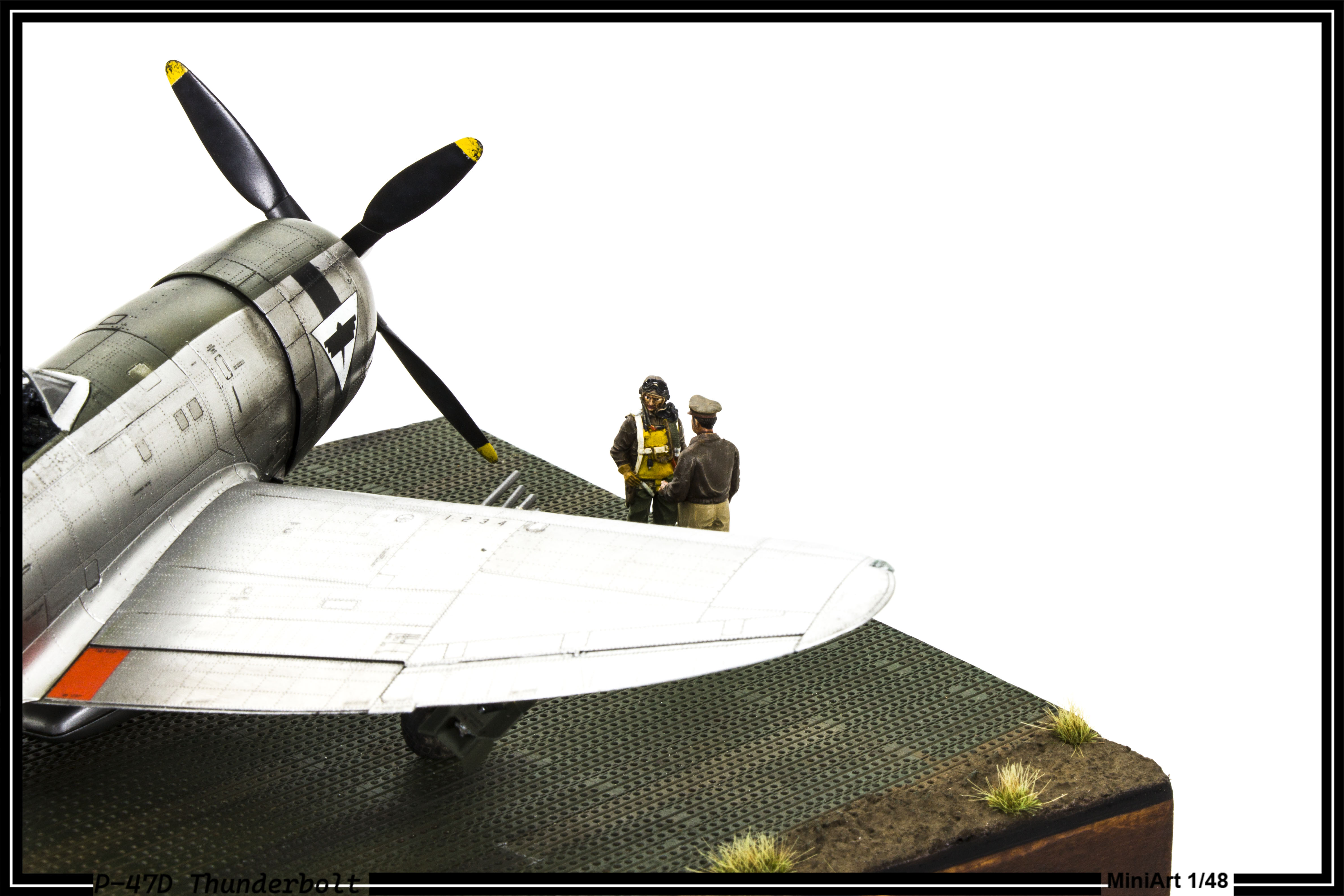 P47D008