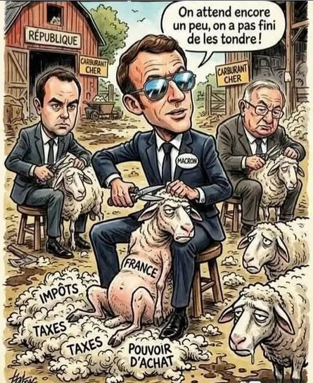 2026-04-12 14_36_42-Groupes _ Facebook ? Mozilla Firefox