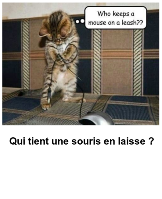 Mon image