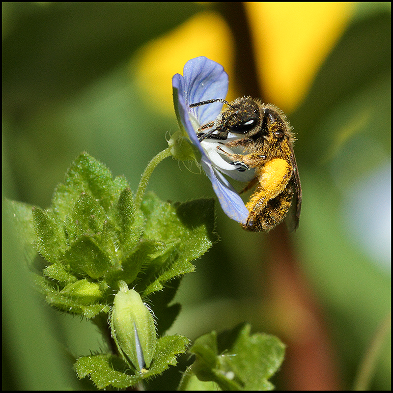 la-gourmande-web