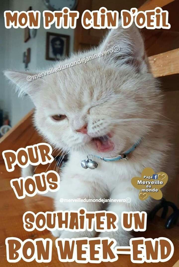 Mon image