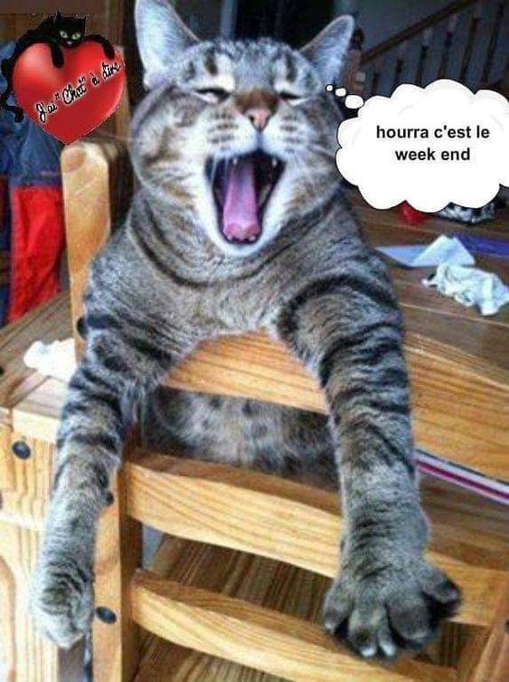 Mon image