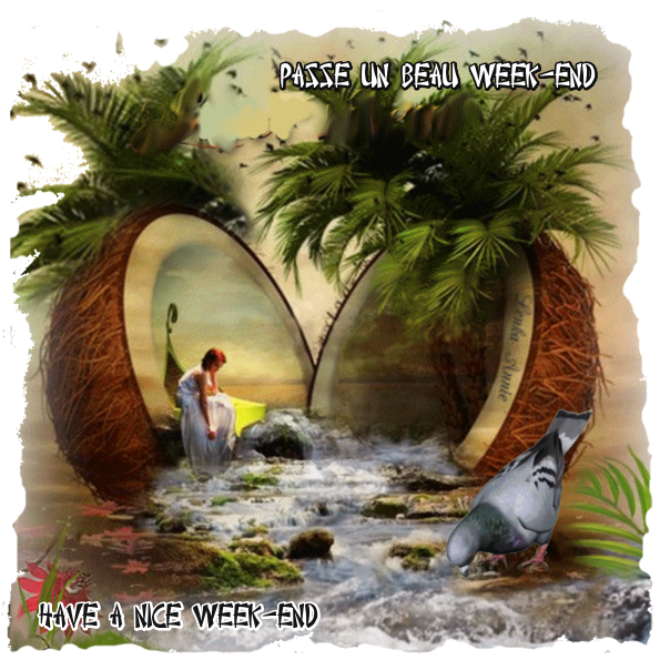 Mon image