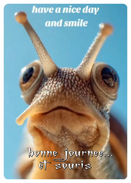 Mon image