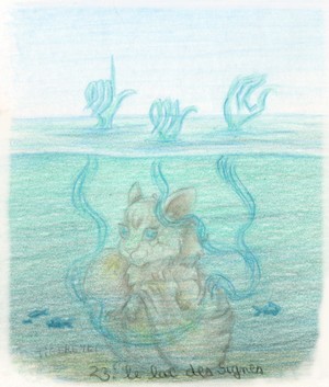 2026 Mermay023