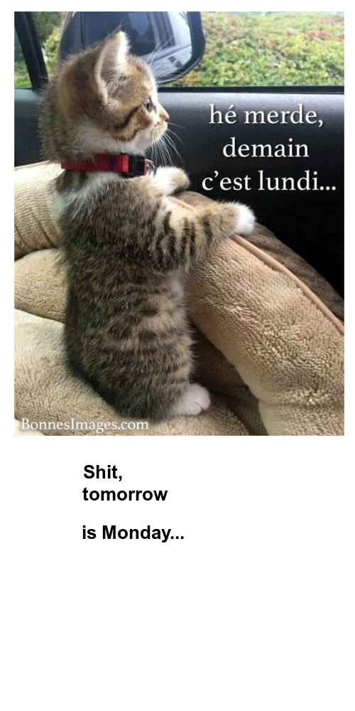 Mon image