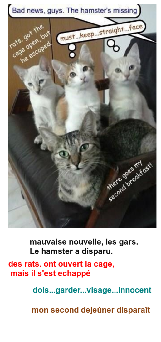 Mon image