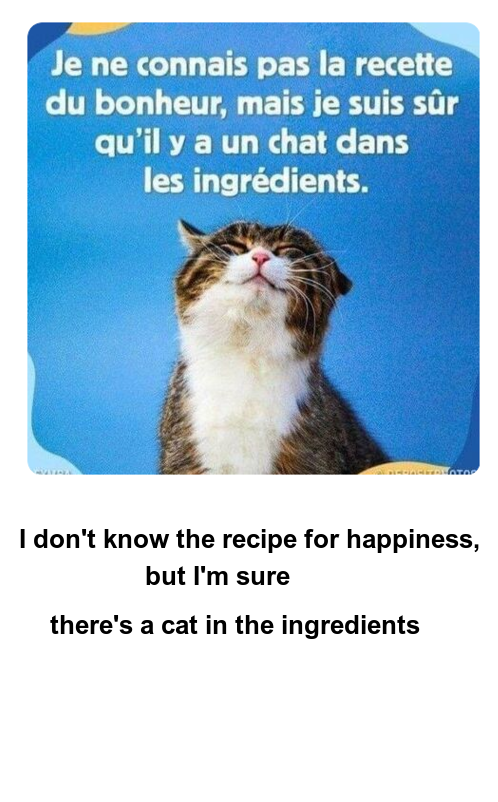 Mon image