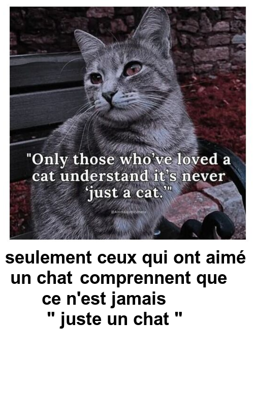 Mon image