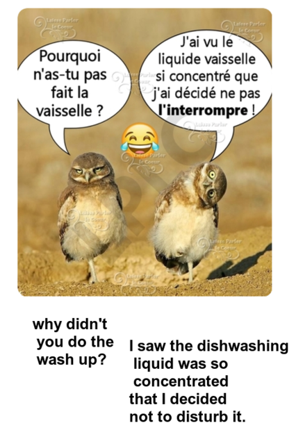 Mon image