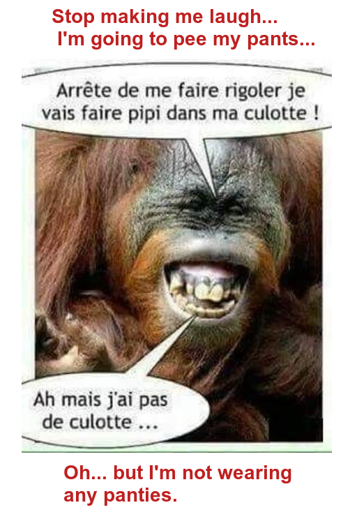 Mon image