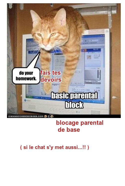 Mon image