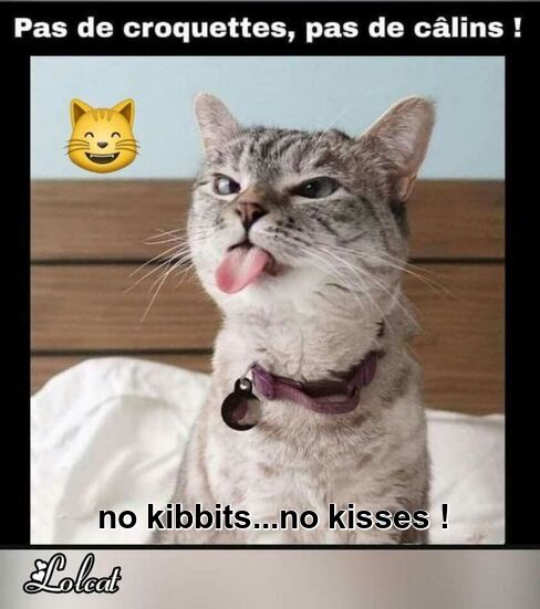 Mon image