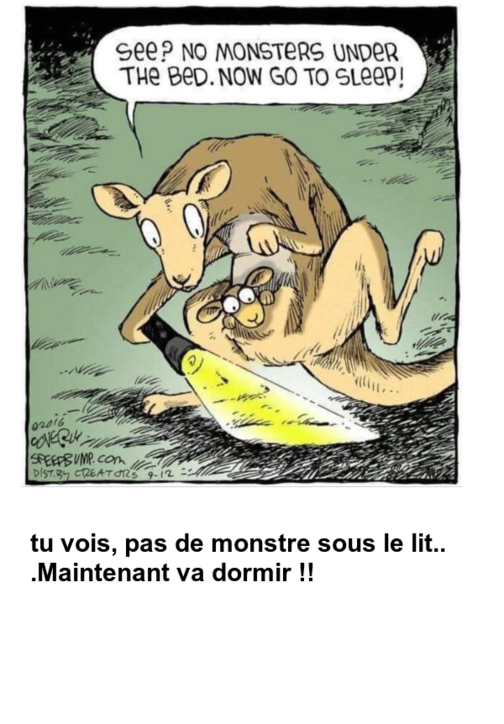 Mon image