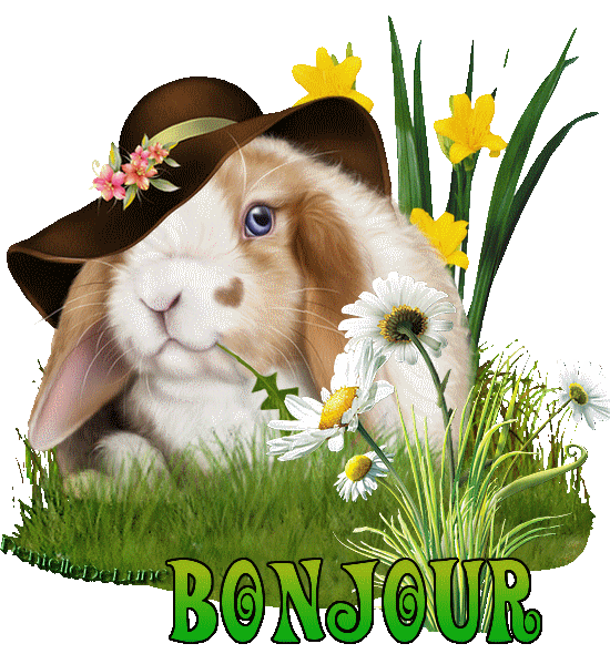 Mon image