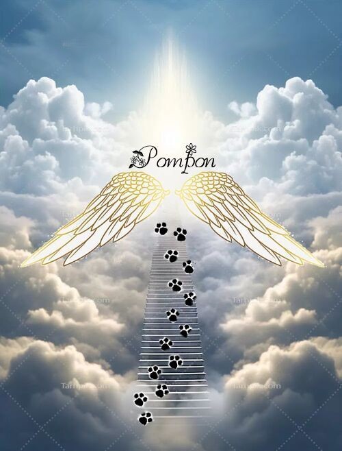 Mon image