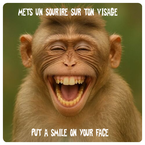 Mon image