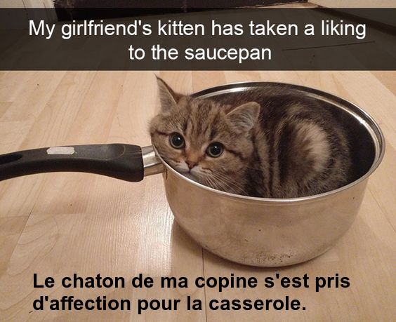 Mon image