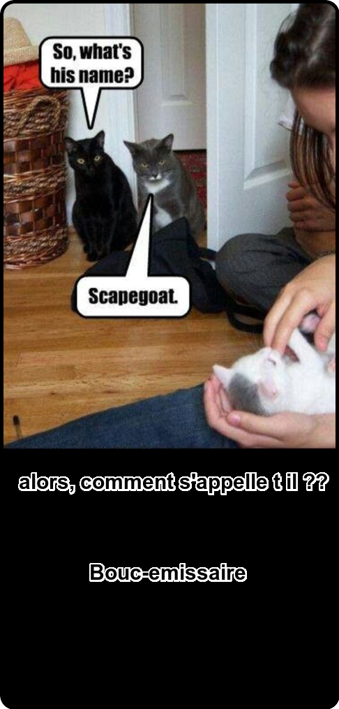 Mon image