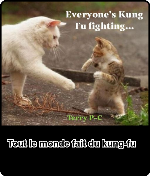 Mon image