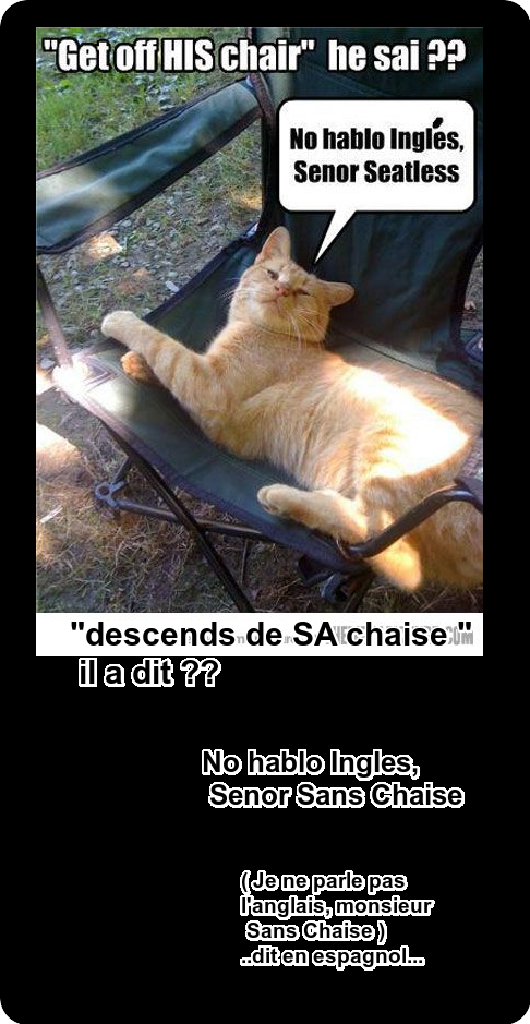 Mon image