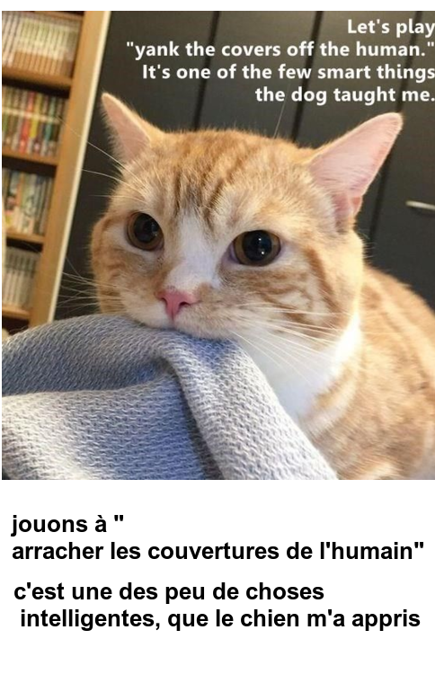 Mon image